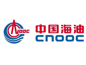 中国海迪